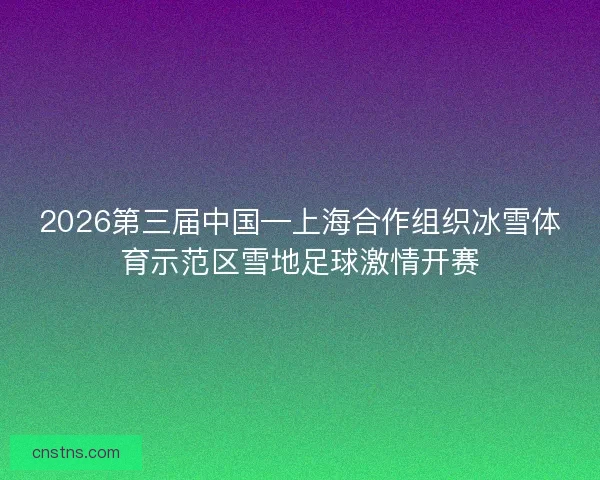 2026第三届中国—上海合作组织冰雪体育示范区雪地足球激情开赛